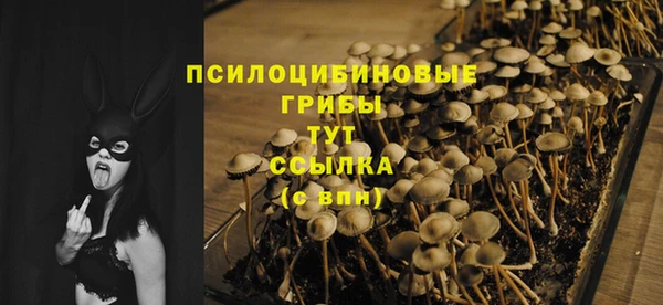 а пвп мука Бронницы